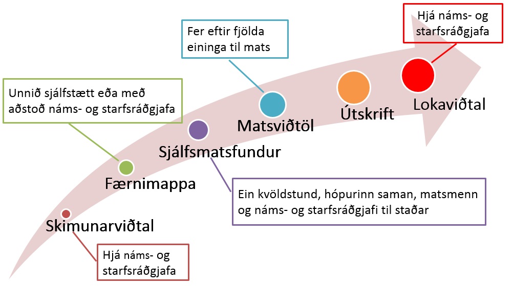 Ferli raunfærnimats