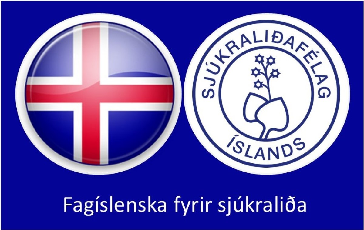 FAgíslenska fyrir sjúkraliða.jpg