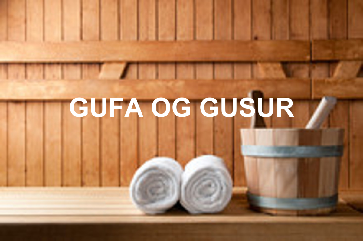 Gufa og Gusur (1).png