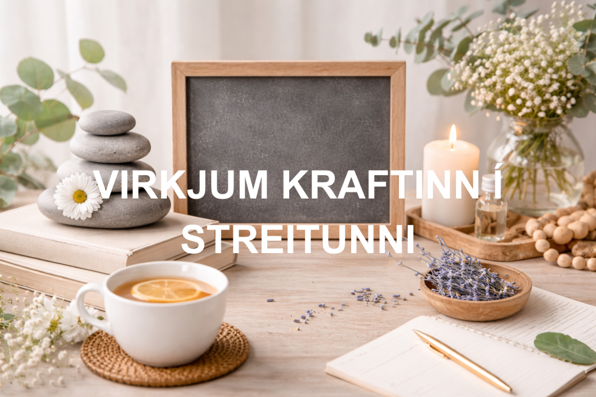 VIRKJUM KRAFTINN Í STREITUNNI.png